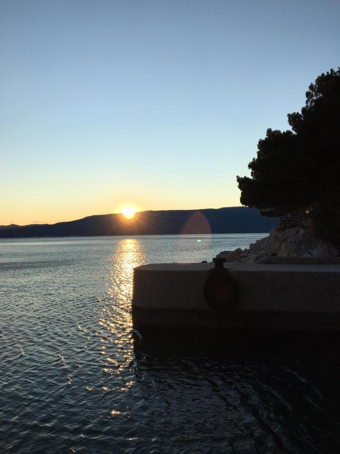 Kuca Za Odmor Bebic, Kremena Villa Klek Dış mekan fotoğraf